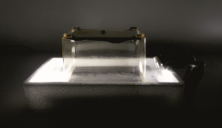 Nebelkammer / Cloud Chamber