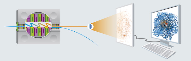 Aufklärung der Proteinstruktur mit Röntgenlicht / Structural analysis of biomolecules with X-ray radiation Aufklärung der Proteinstruktur mit Röntgenlicht / Structural analysis of biomolecules with X-ray radiation